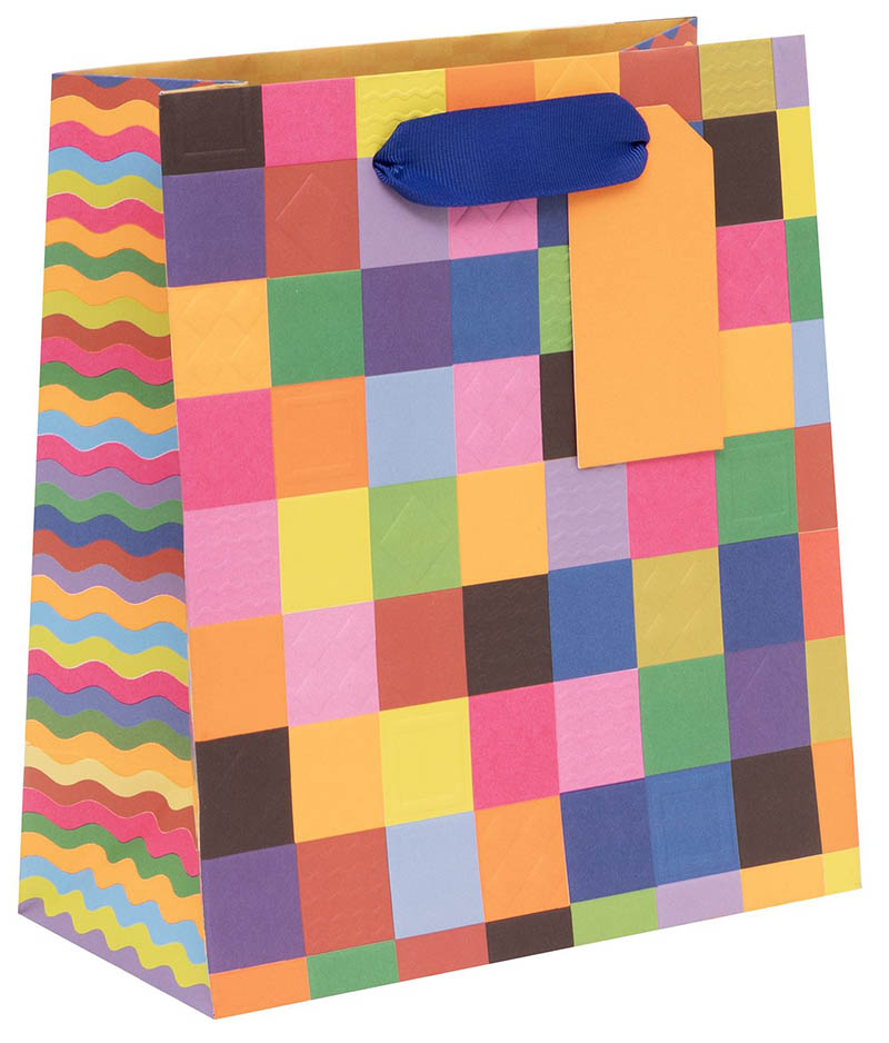 Gift Bag (Medium): Colour Hub Check Out