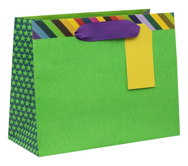 Gift Bag (Medium): Colour Hub Grn