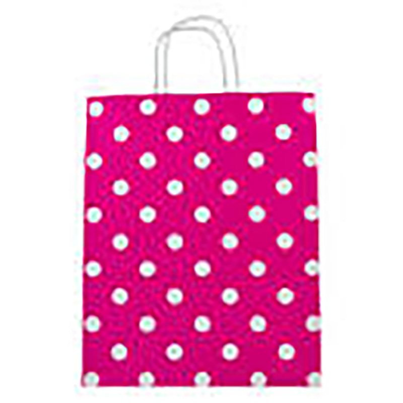 Gift Bag (Large): Pink Dots