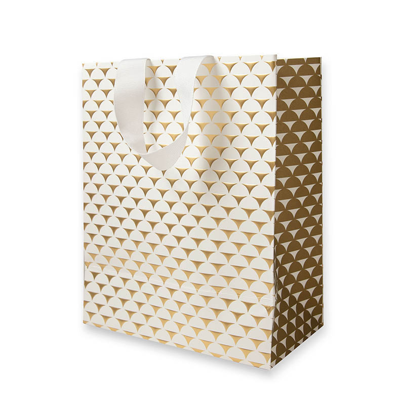 Gift Bag (Medium): Special Occ