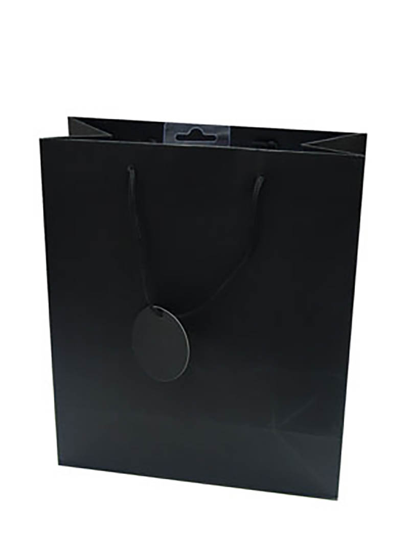 Gift Bag (Large): Solid Colour Black