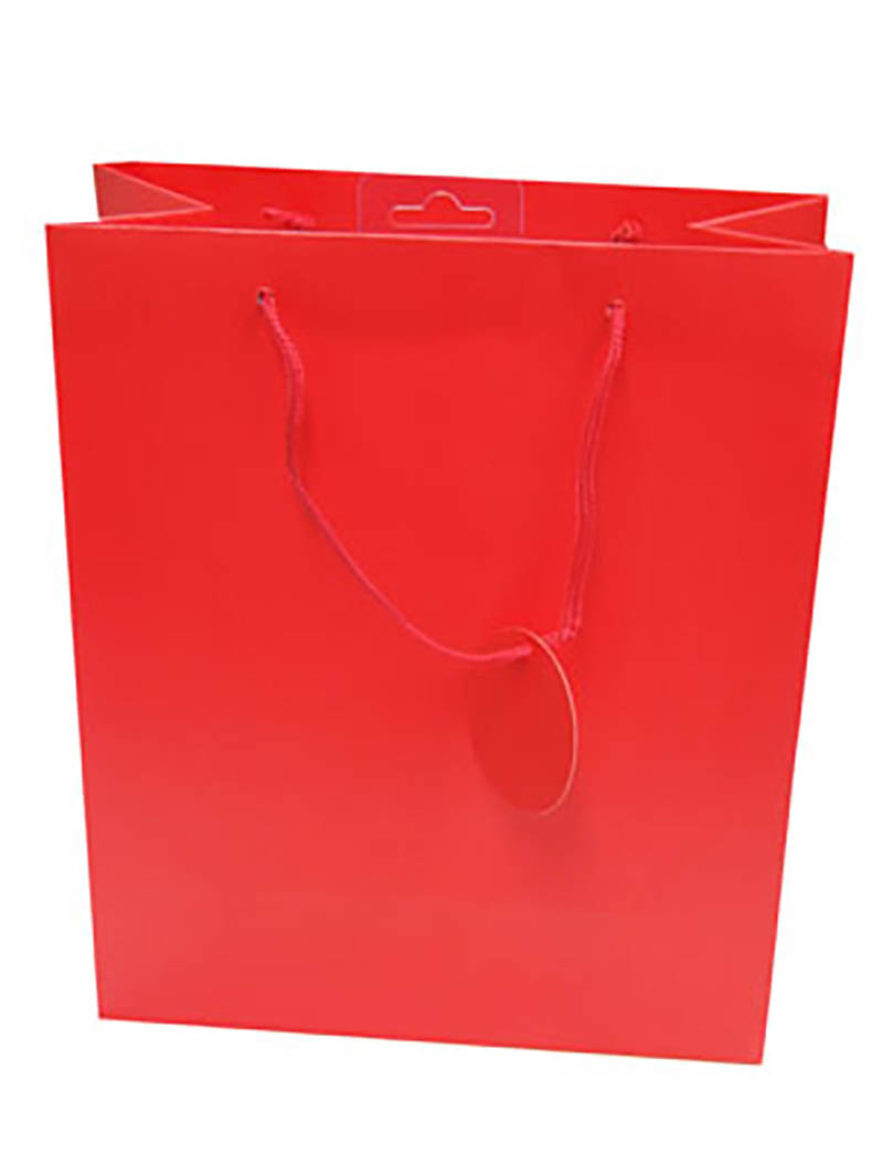 Gift Bag (Large): Solid Colour Red