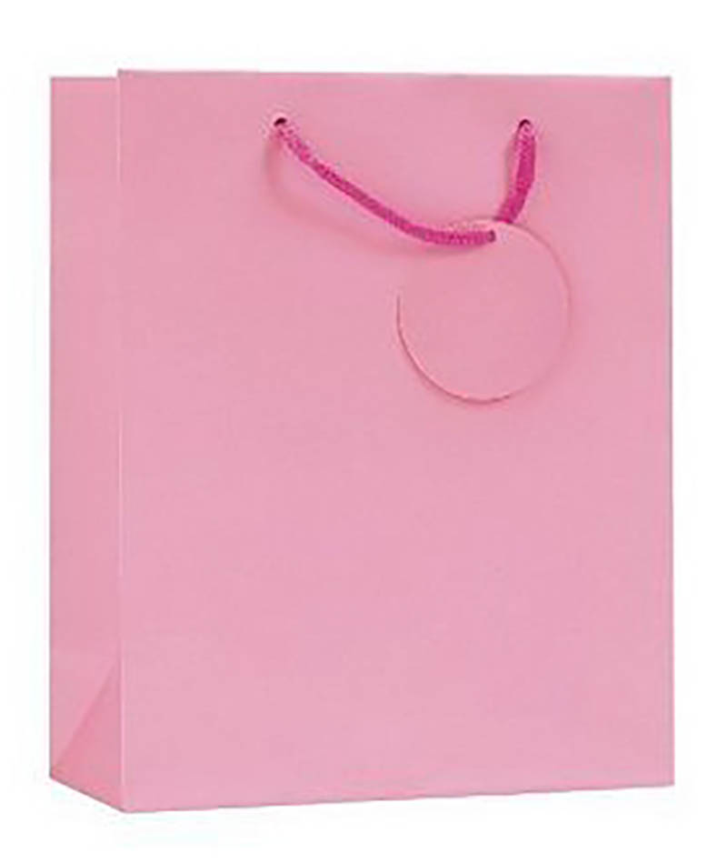 Gift Bag (Large): Solid Colour Pink