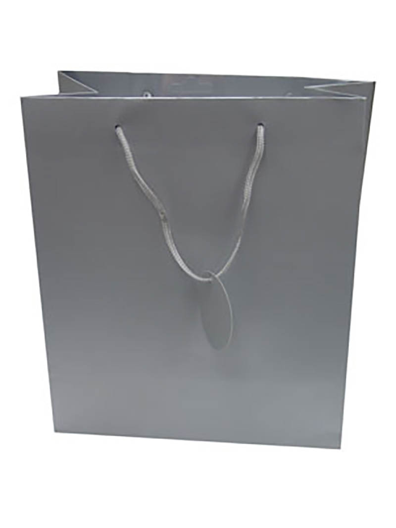 Gift Bag (Large): Solid Colour Silver
