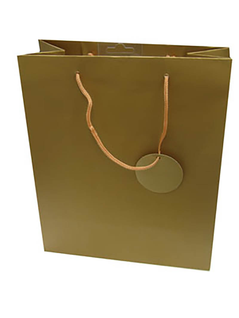 Gift Bag (Large): Solid Colour Gold