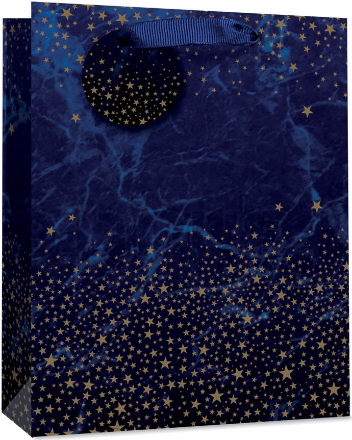 Gift Bag (Large): Navy With Gold Stars