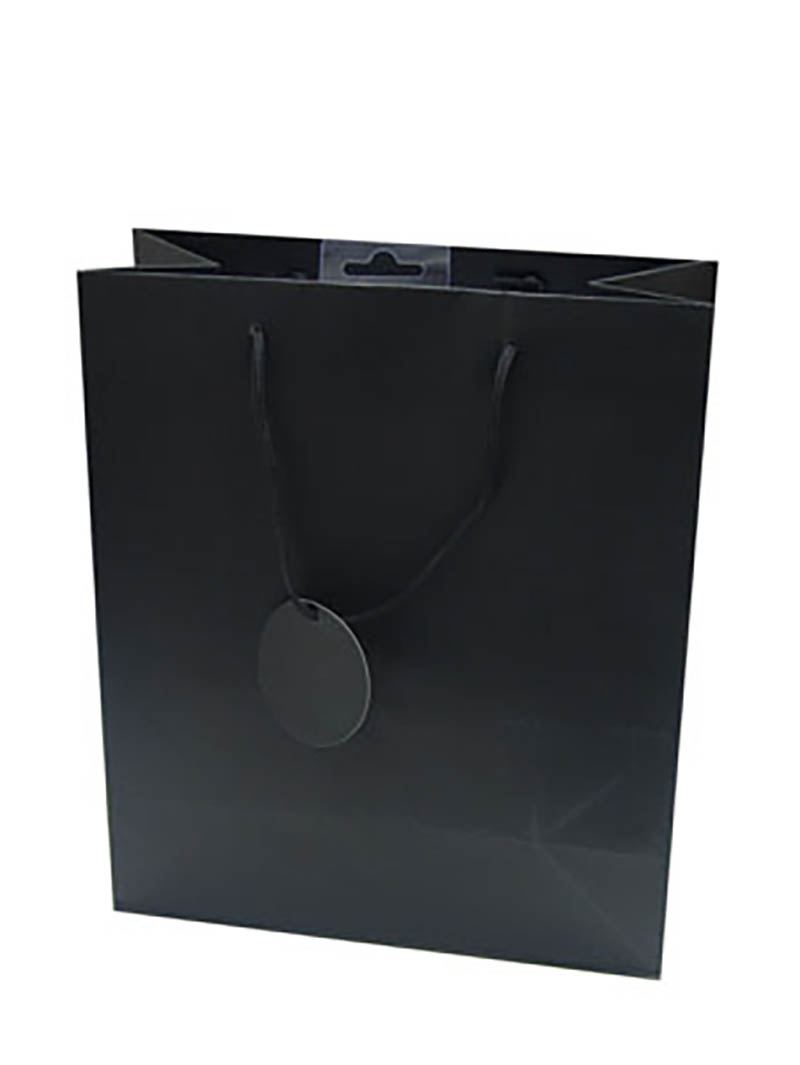 Gift Bag (Medium): Solid Colour Black