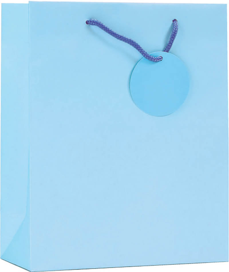 Gift Bag (Medium): Solid Colour Pale Blue
