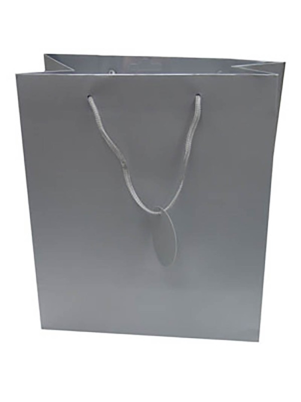 Gift Bag (Medium): Solid Colour Silver