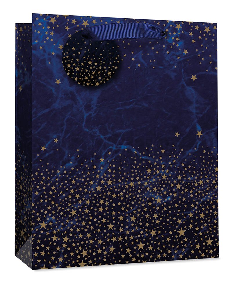 Gift Bag (Medium): Navy W Gold Stars