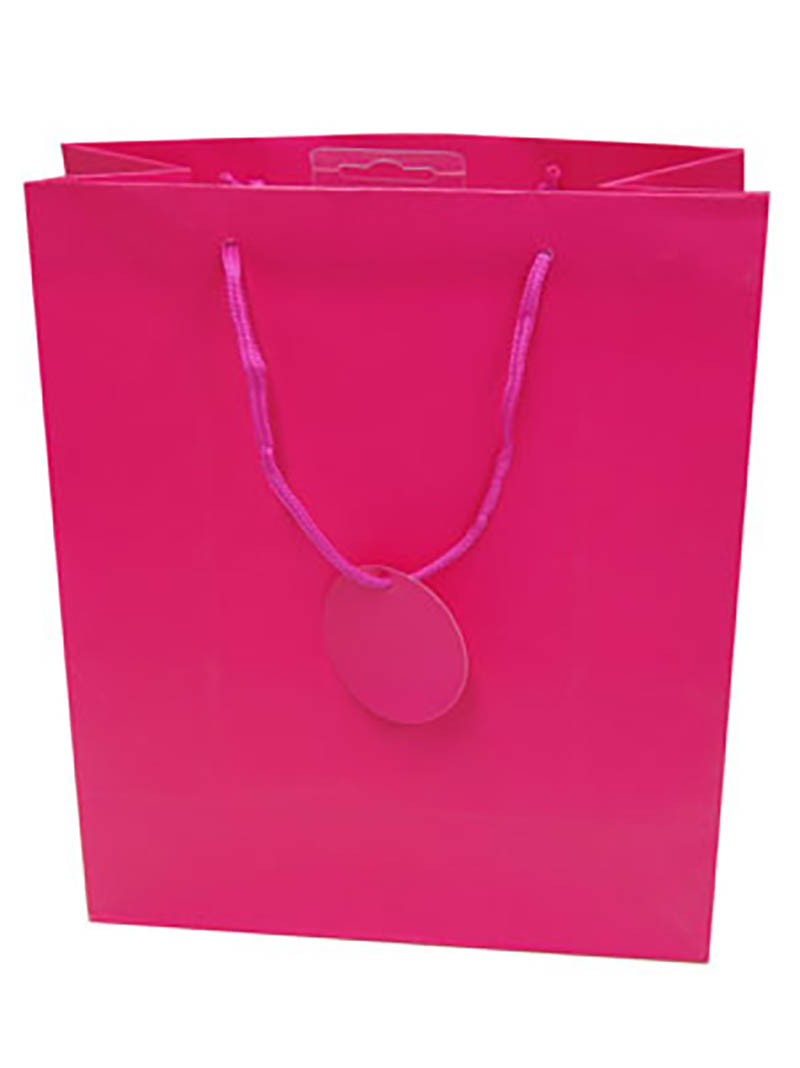 Gift Bag (Small): Solid Colour Cerise