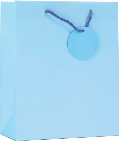 Gift Bag (Small): Solid Colour Pal Blu