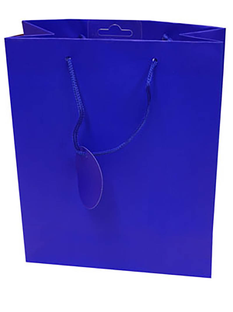 Gift Bag (Small): Solid Colour Blue