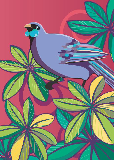 Birds Of A Feather 2: Kokako