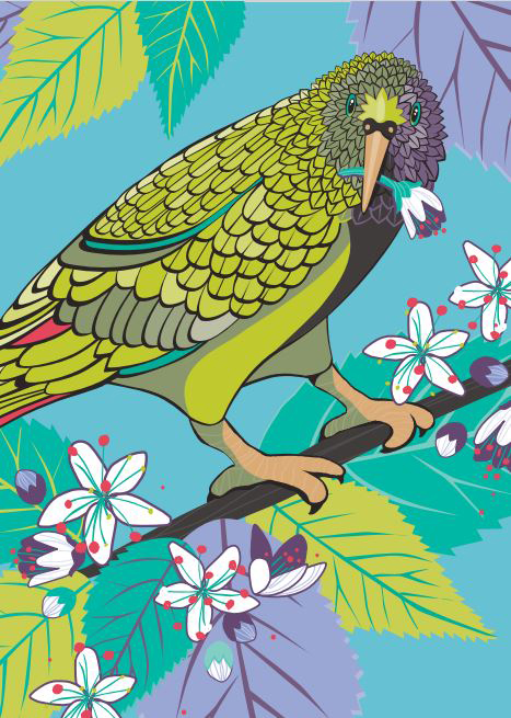 Birds Of A Feather 2: Kea Capers