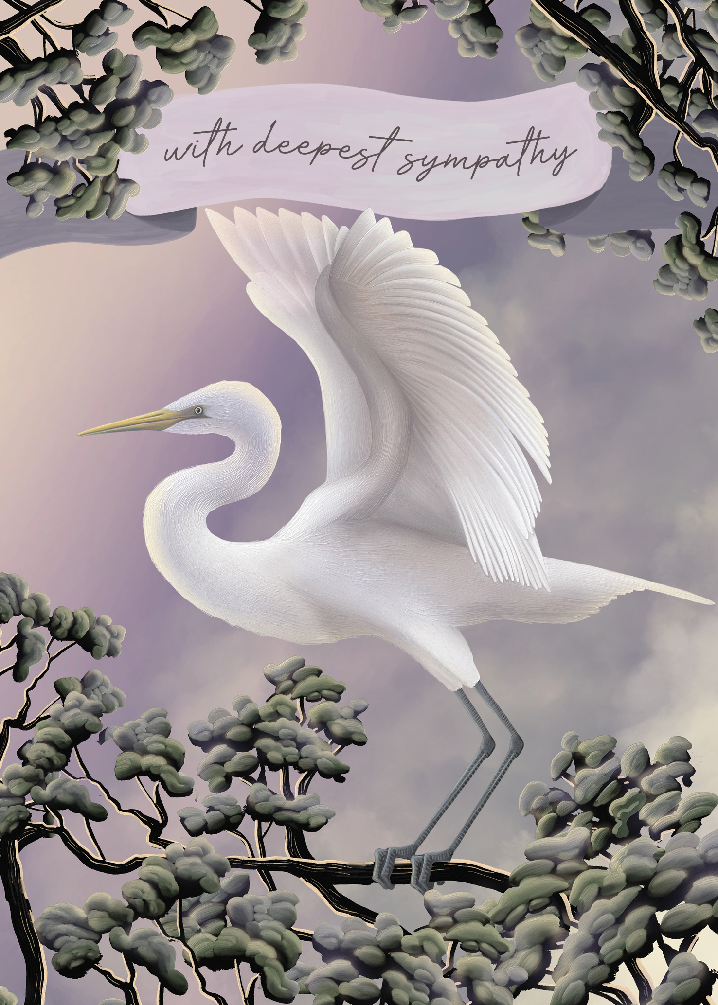 Anna Evans: Sympathy Kotuku