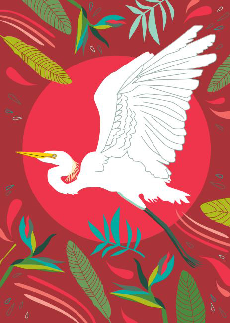 Birds Of A Feather 2: White Heron