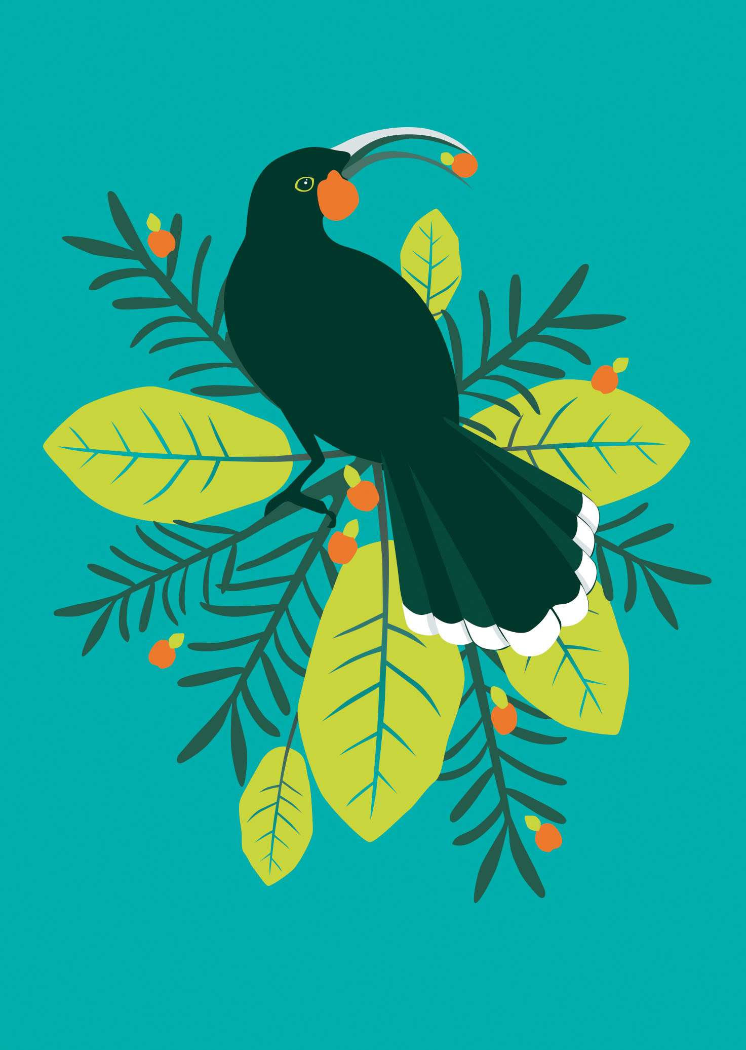 Birds Of A Feather: Huia