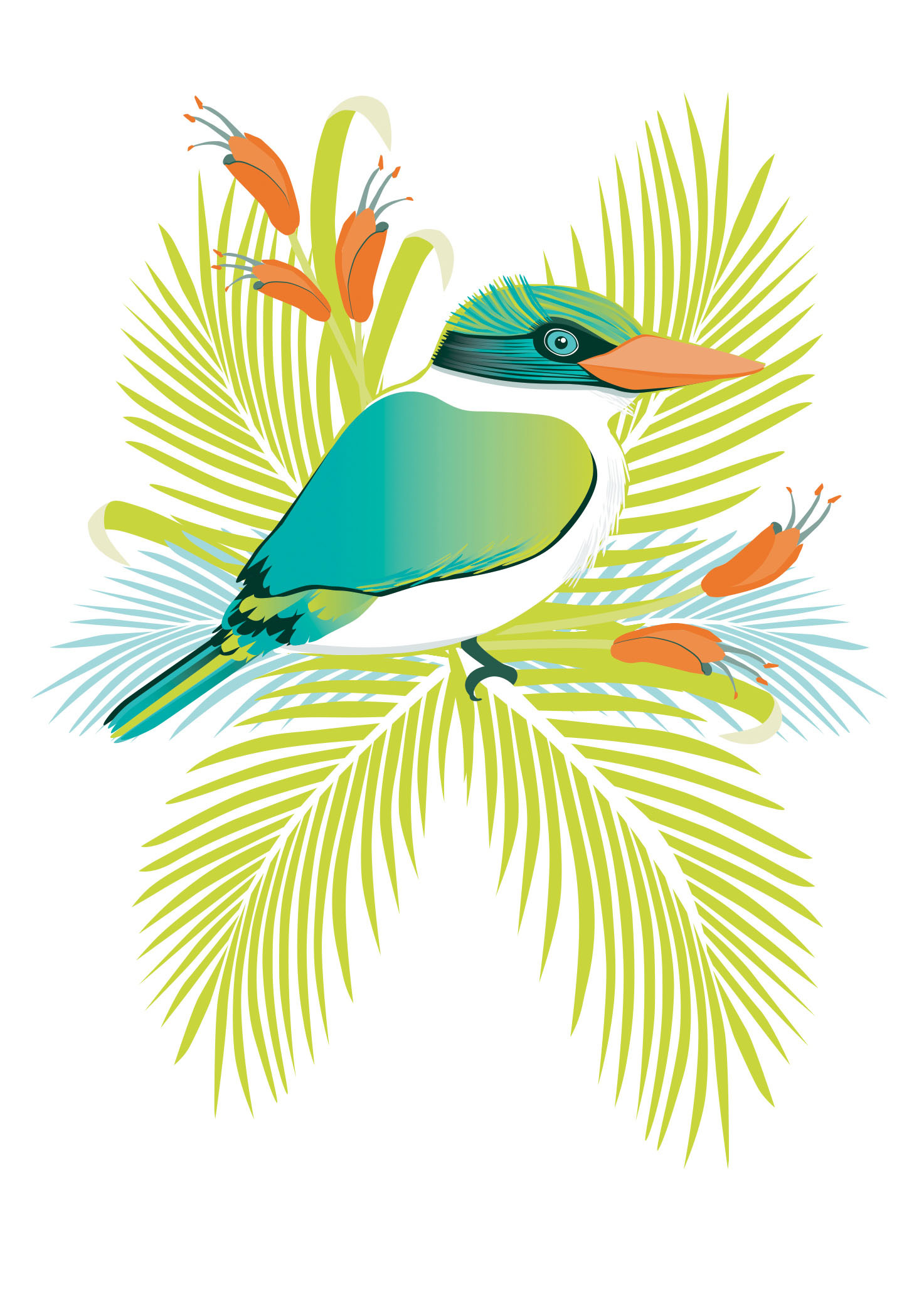 Birds Of A Feather: Kotare