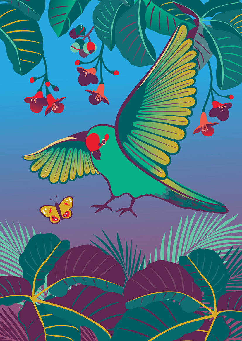 Birds Of A Feather: Kakariki