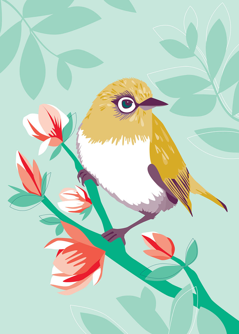 Birds Of A Feather: Waxeye