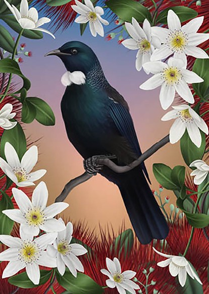 Anna Evans: Tui