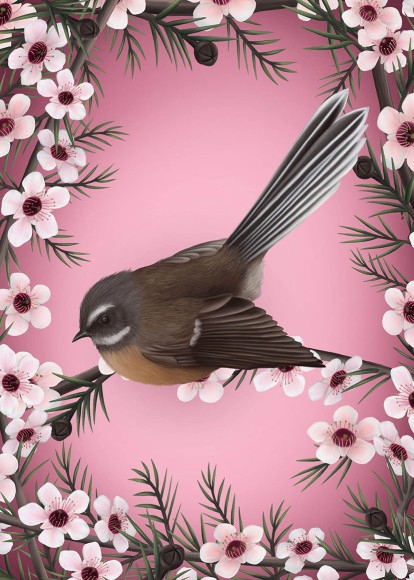 Anna Evans: Fantail