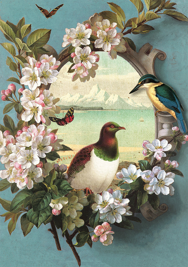 Botany: Blossom Frame