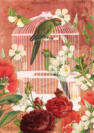 Botany: Kakariki Birdcage