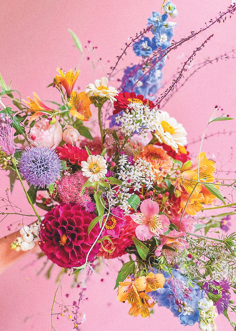 Bonnie D: Garden Goodies