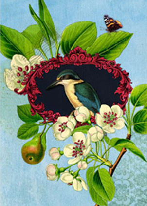 Mini: Botany Kingfisher