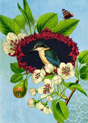 Mini: Botany Kingfisher