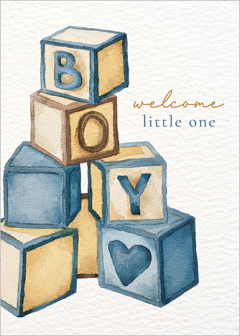 Baby Boy Toy Blocks