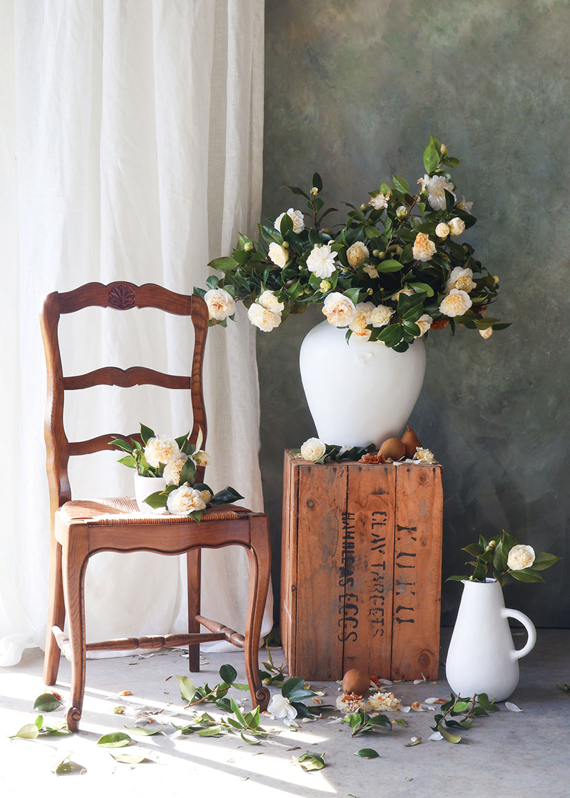 Kate W: Magnolia Seat