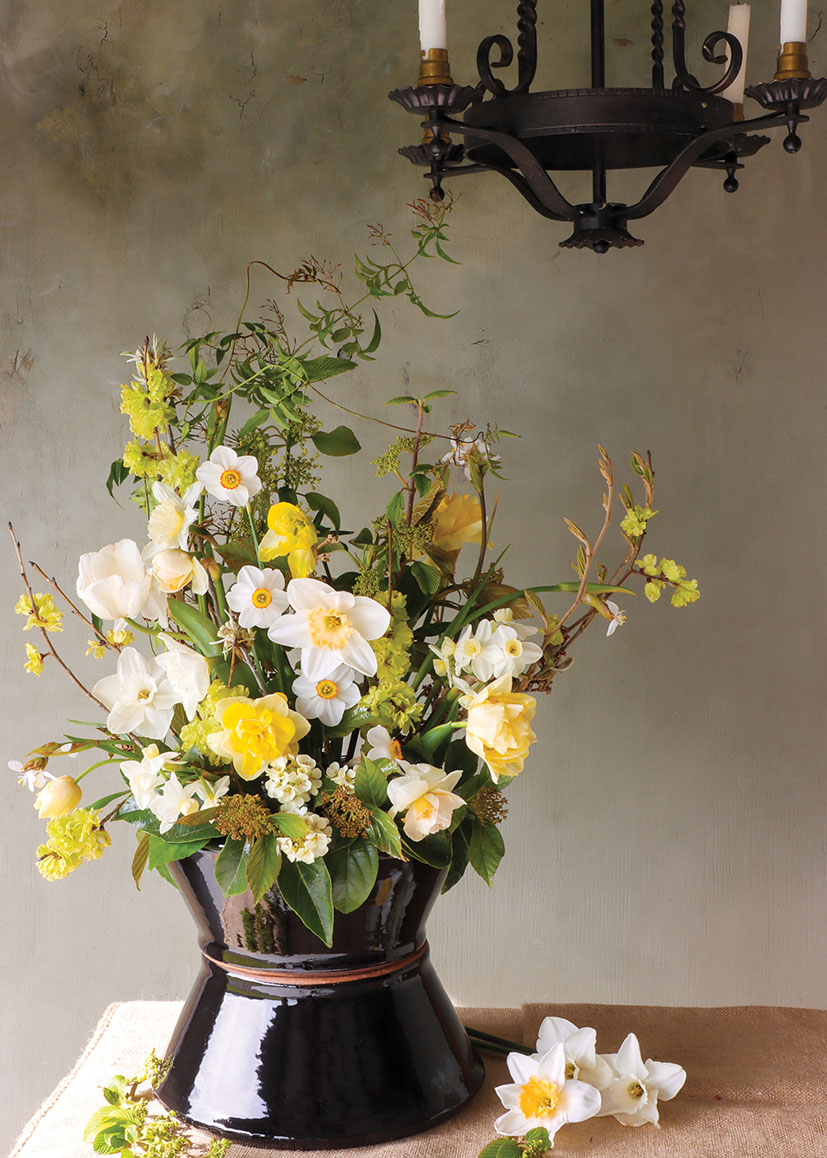 Kate W: Daffodil Mix