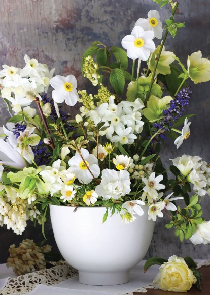 Kate W: Spring Mix