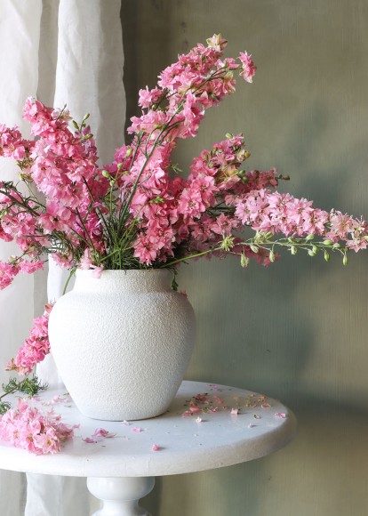 Kate W: Pink Delphinium