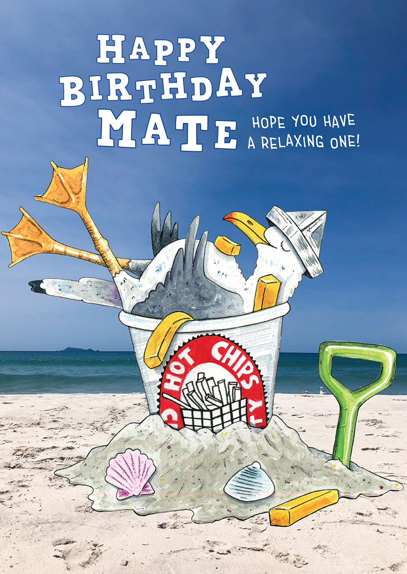 Matt C: Male Birthday Seagull Mate