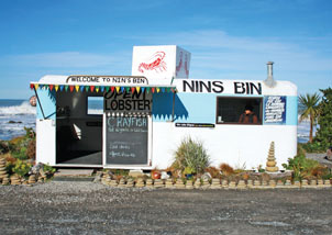 Moana Rd: Nins Bin
