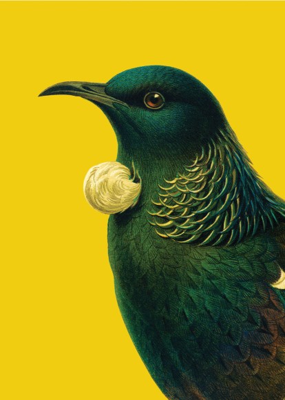 Reuben Price: Tui