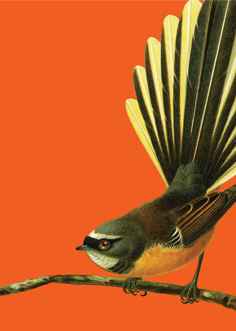 Reuben Price: Fantail