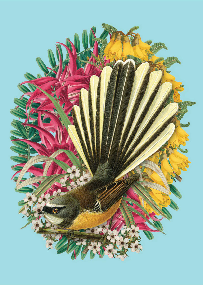 Reuben Price: Colourfl Fantail