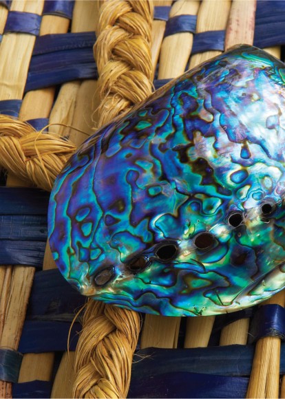 Reuben Price: Paua