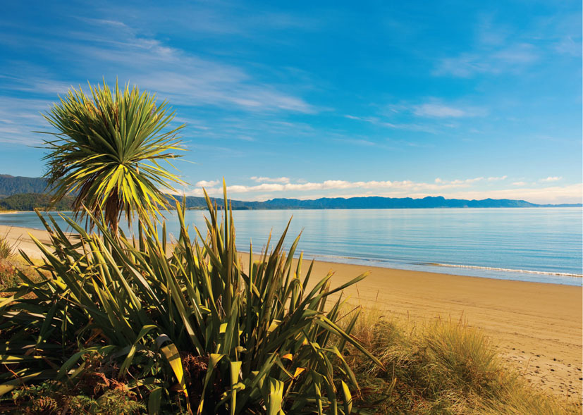 Reuben Price: Golden Bay