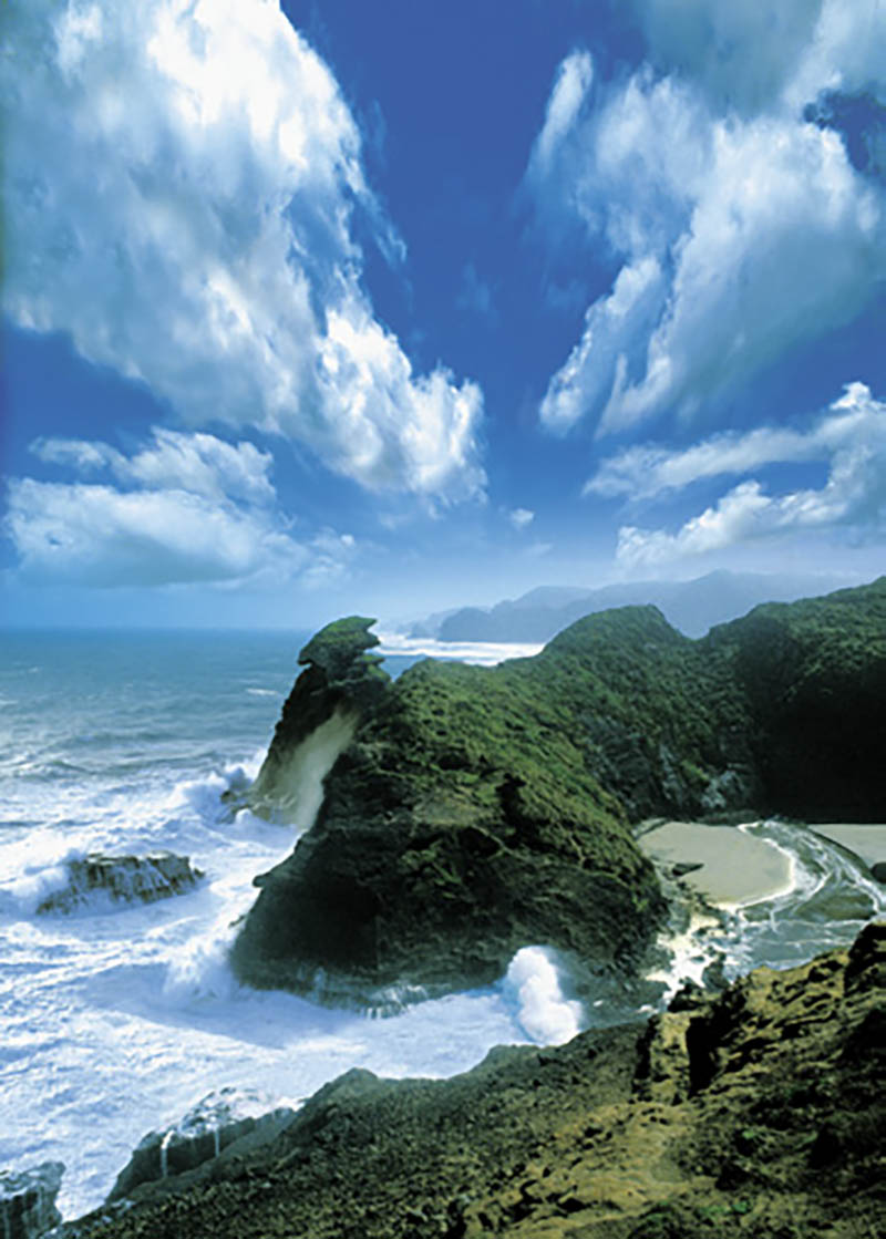 Ted Scott: Wild Coast