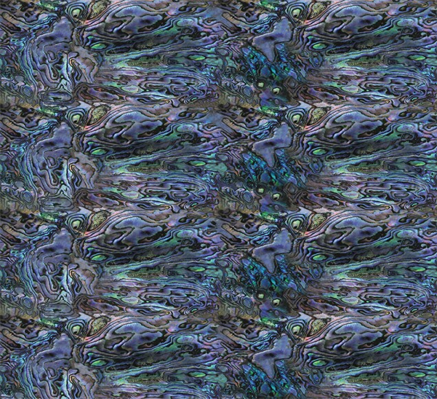 Wrap (Sheet): Nz Paua
