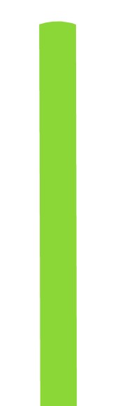 Roll Wrap (2M): Solid Green