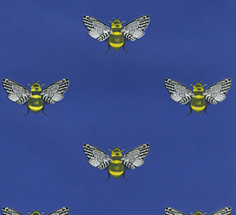 Wrap (Folded): Bumble Bee Blue