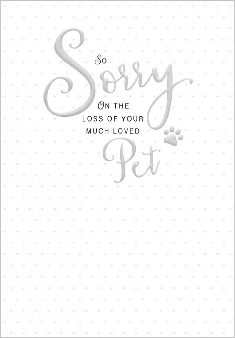 Quill: Loss Of Loved Pet