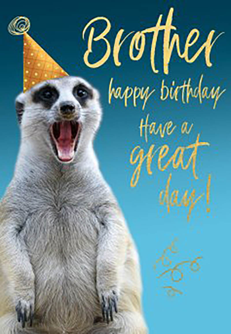 Rapture: Bday Bro Meerkat